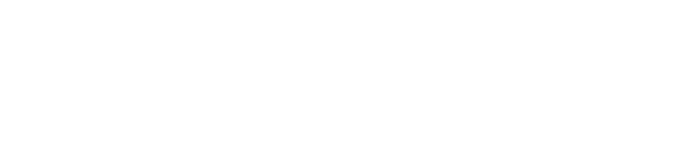 Nepse Bulls
